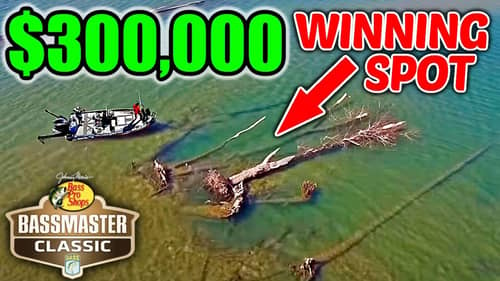 You WON'T BELIEVE where $300k worth of Fish were Hiding!!