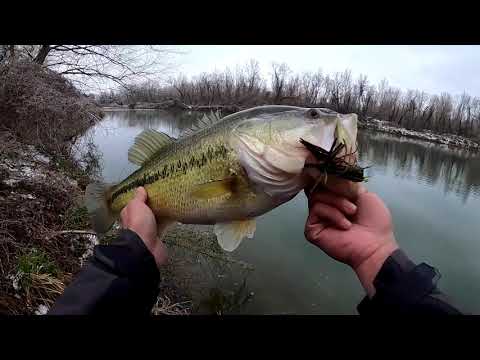 Downsizing for Cold Water Bass (Finesse Techniques for Texas Ponds)