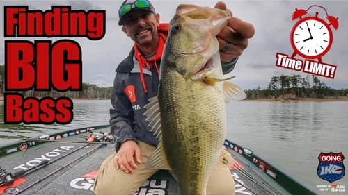 Targeting BIG Bass on a Time Crunch! (4 hours of FUN Fishing!)