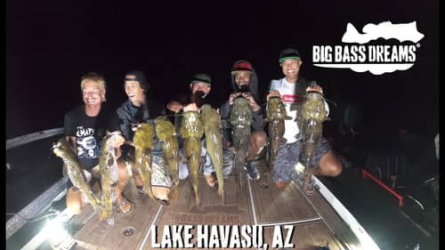 Light's out at Lake Havasu, AZ with @OliverNgy and the crew - #BigCatfishDreams
