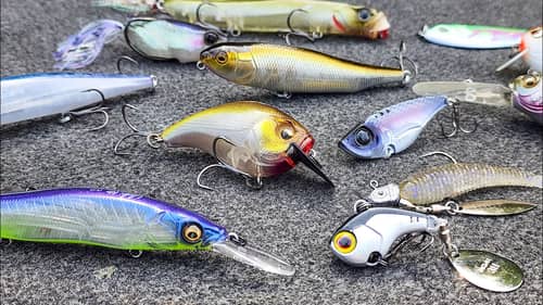 Search Motivated%20baits Fishing Videos on