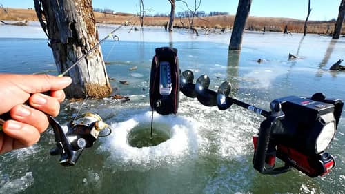 Ice Fishing an Underwater Forest!! HOW IS THIS POSSIBLE???