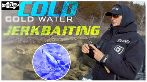 4 Tips to Boost Cold Water Jerkbait Fishing Success