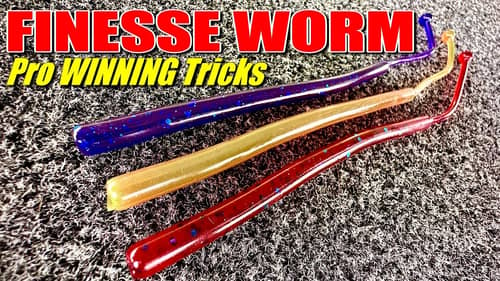 The Finesse Worm Trick Pro's are Winning With