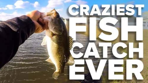 CRAZIEST Fish Catch EVER! (Insane)