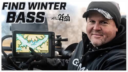 Where Bass Go in the Winter | Highland Reservoirs