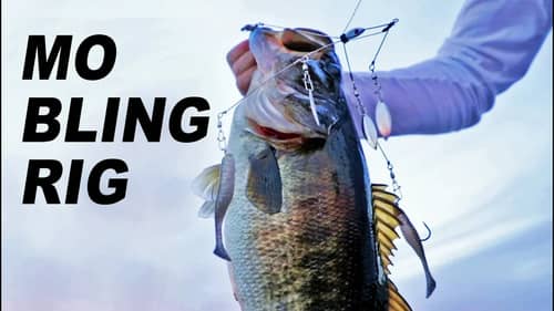 BEST UMBRELLA / ALABAMA RIG for Fishing! (AMAZING SALE)