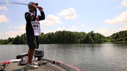 Matching Forage Size for Schooling Bass Fishing