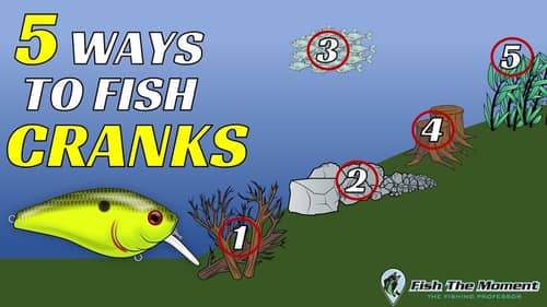 5 Ways to Fish Crankbaits for Fall Bass