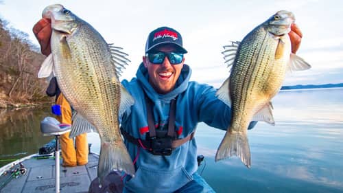 Catching LOADS OF BIG WHITE BASS In The Winter & Spring!!