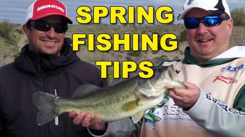 Spring Bass Fishing Tips with Justin Kerr | Bass Fishing