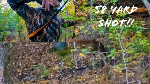 Self Filmed 58 Yard ARCHERY Whitetail Doe Harvest!! || 2022 Bowseason Vlog EP. 7