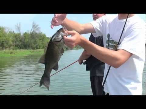 Smallie Fishing: Evolve Baits Kompak Craw