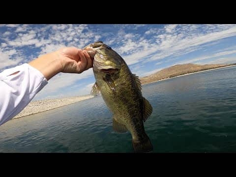 Lake Perris Bass Fishing (Catching too many fish!!)