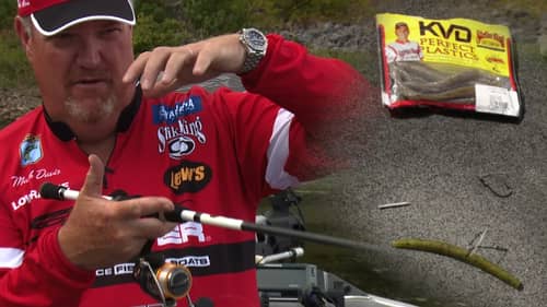 Best Places and Times to Fish a Wacky Rigged Soft Plastic