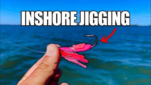 Crazy Inshore Jigging Bite Saves the Day!