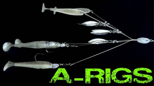 A-Rig Tricks: Everything You Need To Know For Spring And Winter Bass Fishing
