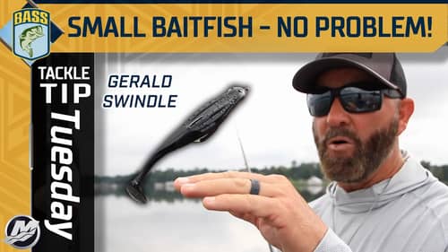 How Gerald Swindle targets bass that head shallow in September