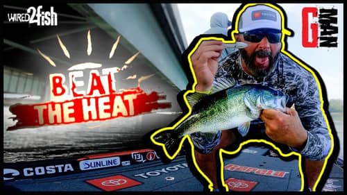 “Rush Hour” Topwater Bass | Swindle Beats the Summer Heat!