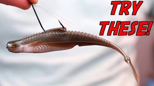 3 ODD Bed Fishing Baits You NEED To Try!