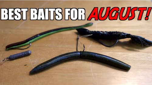 Top 3 BAITS For AUGUST Bass Fishing!