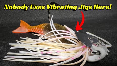 Why Doesn’t Anyone Fish A Vibrating Jig Like This! It Works So Good!