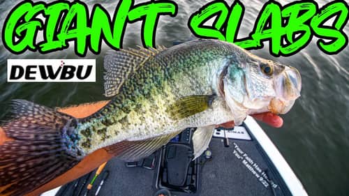 Catching BIG CRAPPIE & The BEST Way To Stay WARM While Fishing!! (EPIC DEWBU Electric Heated Jacket)