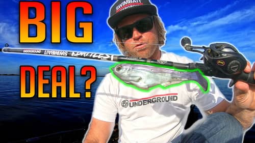 What's the BIG DEAL about Fishing Swimbaits in Spring?