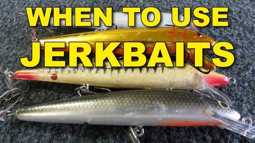 The Best Times To Throw Jerkbaits | Bass Fishing