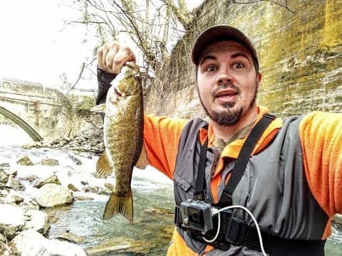 CREEK FISHING FOR FAT SPRING SMALLIES