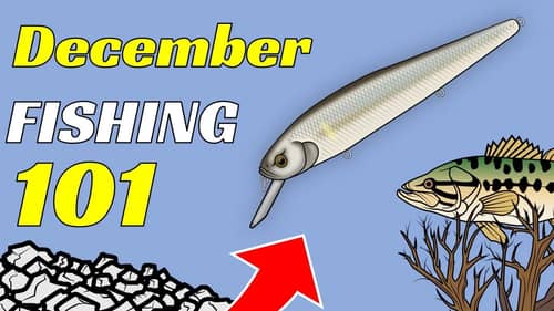 The Best Baits To Use For Fishing In December
