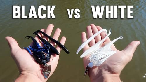 BLACK vs WHITE Lure Fishing Challenge!!! (Walmart)