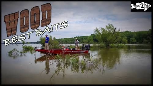 3 Top Baits for Bass Fishing Wood