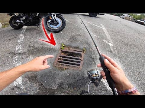 FISH ARE LIVING UNDER THIS PARKING LOT! (Sewer Creek Fishing)