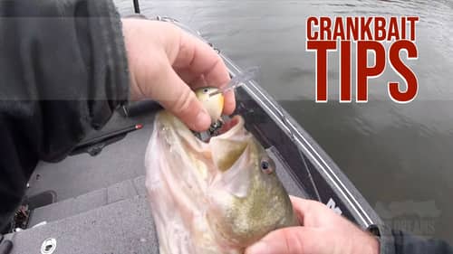 Suspending Crankbait Tackle Breakdown - Late Fall Largemouth with Bass Brawl Outdoors Part 1