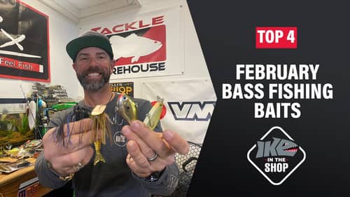February Bass Fishing Baits (My TOP 4)