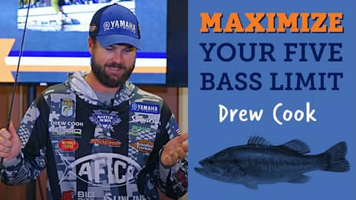 Bassmaster Drew Cook's Big Bass Fishing Tips (Five Bass Limit Tournament Strategy)