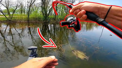 Sight Fishing an ULTRA CLEAR Backwater LOADED w/ Fish!! (Bed Fishing)