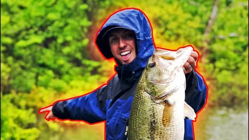 Best TOPWATER Bass Fishing Conditions - RAIN + FLOOD + CLOUDS