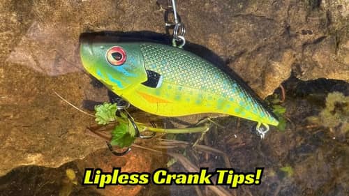 These Lipless Crankbait Tips Will Catch You More Fish! Try Them!