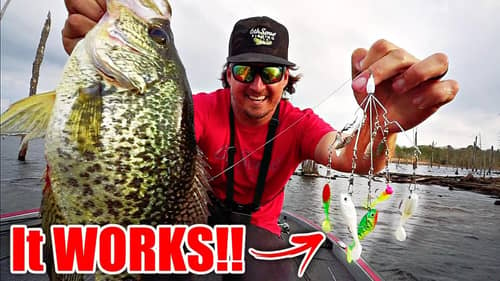 Fishing MICRO Umbrella Rigs for MONSTER Crappie!! (It Actually Worked)