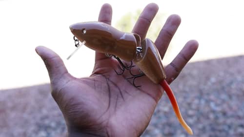 Fishing Rat Lures For Urban City Bass?