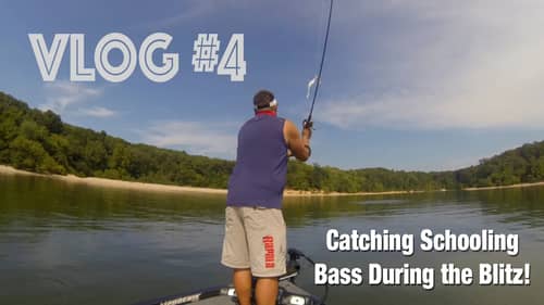 Chasing Schooling Bass on Kentucky Lake