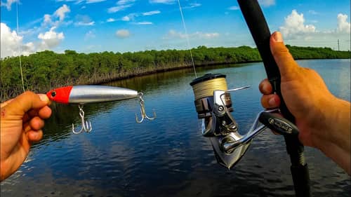 Throwing Giant Swimbaits and Topwaters for Big Saltwater Fish in the Back Country