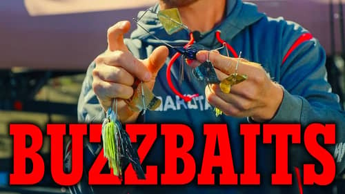 BUZZBAITS! Topwater Bass Fishing Secrets w/ Tournament Angler (Surface Bait Tips, Tactics & Tricks)