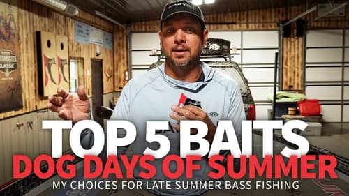 TOP 5 Baits for the DOG Days of SUMMER  ☀️ 🎣 🥵