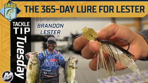 Brandon Lester's 365-day lure for bass fishing across the country