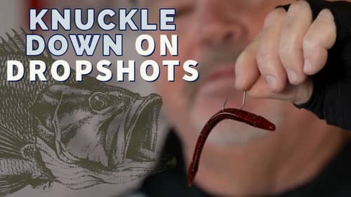 Dropshot Fishing Secrets for Serious Anglers