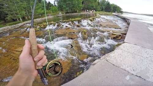 Fishing the World's SMALLEST River! (Fish Live Here?)