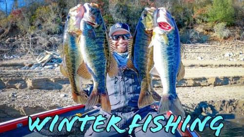 Catching Winter Bass On Almost Every Cast!